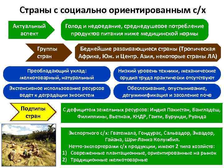 Проблемы мирового сельского хозяйства