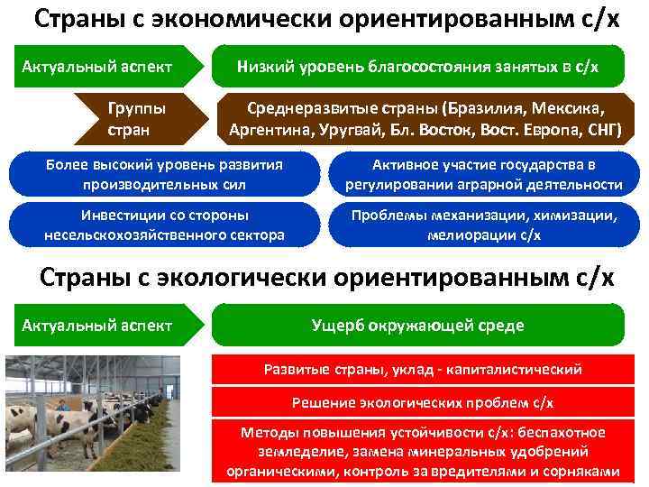 Проблемы мирового сельского хозяйства