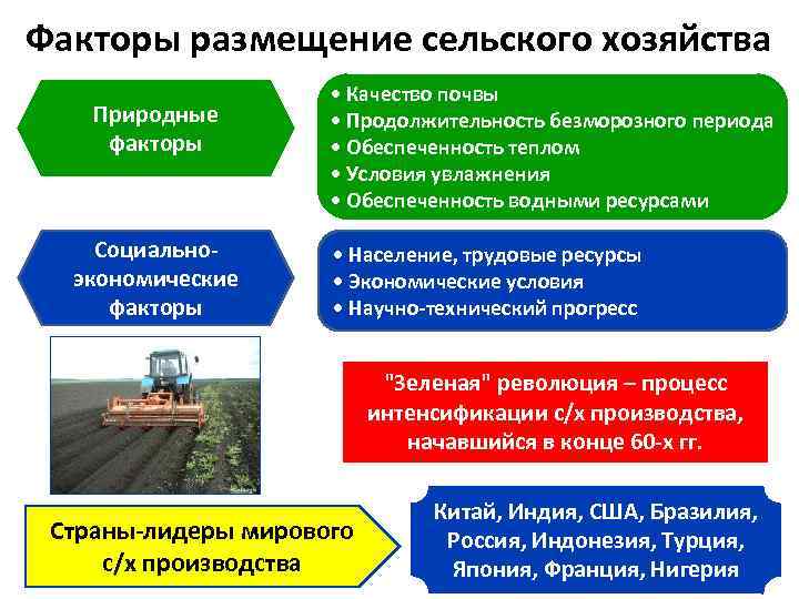Преимущества и недостатки обеспеченности россии природными ресурсами. Факторы размещения сельского хозяйства. Факторы размещения растениеводства. Факторы размещения отраслей сельского хозяйства. Факторы размещения сельскохозяйства.