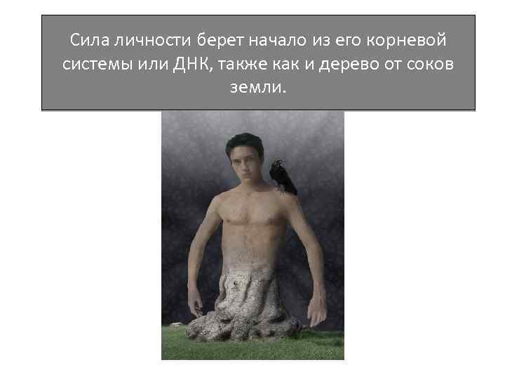 Сила личности берет начало из его корневой системы или ДНК, также как и дерево