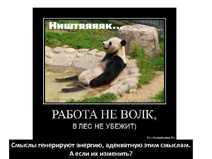 Смыслы генерируют энергию, адекватную этим смыслам. А если их изменить? 