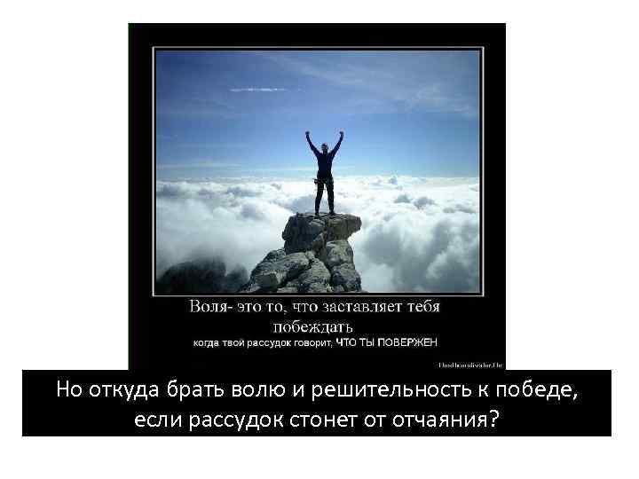 Но откуда брать волю и решительность к победе, если рассудок стонет от отчаяния? 