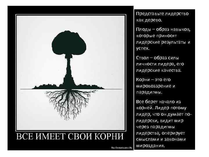 Представьте лидерство как дерево. Плоды – образ навыков, которые приносят лидерские результаты и успех.