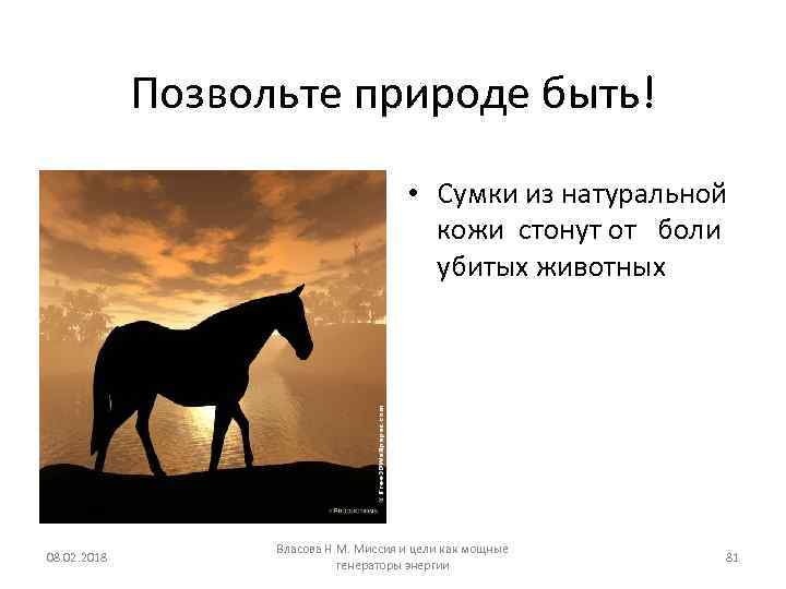 Позвольте природе быть! • Сумки из натуральной кожи стонут от боли убитых животных 08.