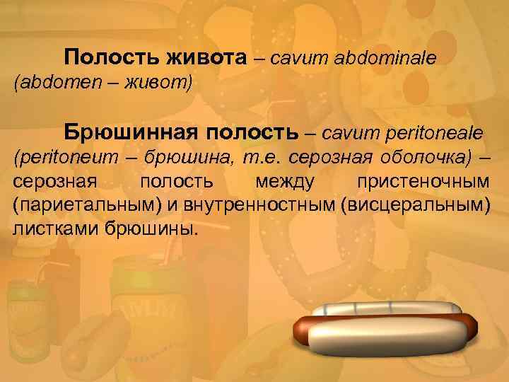Полость живота – cavum abdominale (abdomen – живот) Брюшинная полость – cavum peritoneale (peritoneum