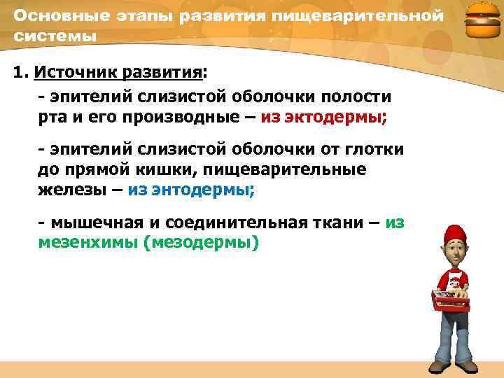 Основные этапы развития пищеварительной системы 1. Источник развития: - эпителий слизистой оболочки полости рта