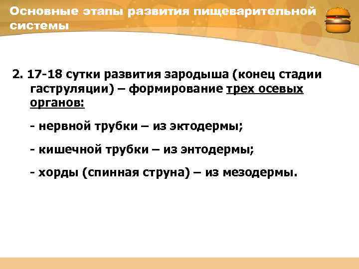 Основные этапы развития пищеварительной системы 2. 17 -18 сутки развития зародыша (конец стадии гаструляции)