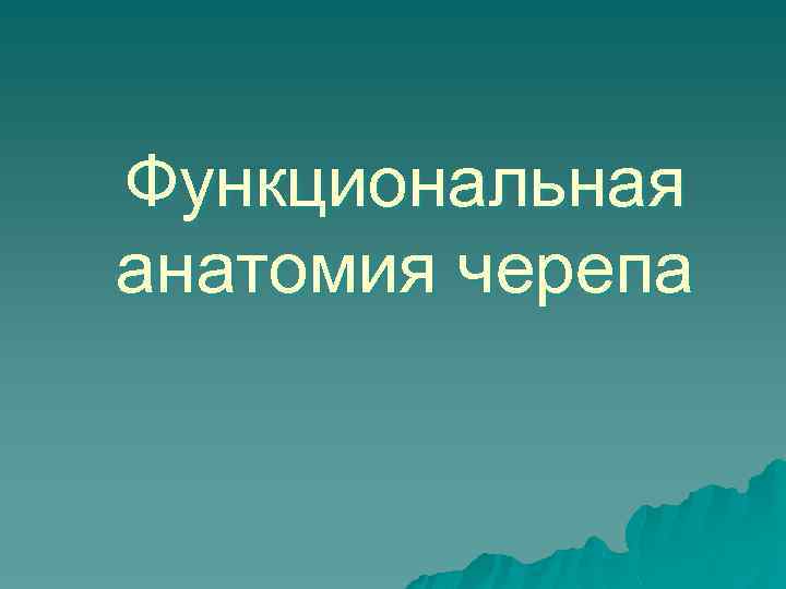 Функциональная анатомия черепа 