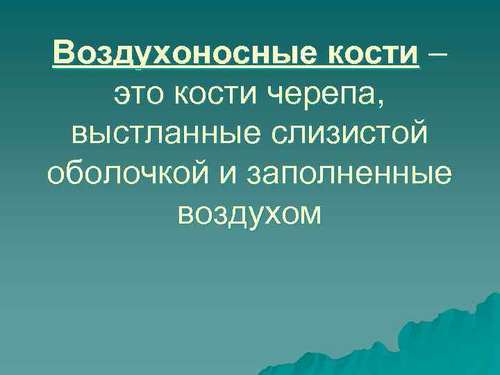 Воздухоносные кости – это кости черепа, выстланные слизистой оболочкой и заполненные воздухом 