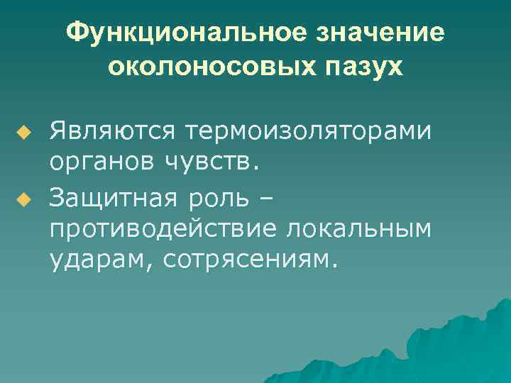 Функциональное значение околоносовых пазух u u Являются термоизоляторами органов чувств. Защитная роль – противодействие