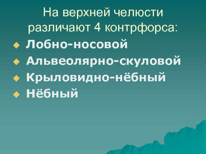 На верхней челюсти различают 4 контрфорса: u u Лобно-носовой Альвеолярно-скуловой Крыловидно-нёбный Нёбный 