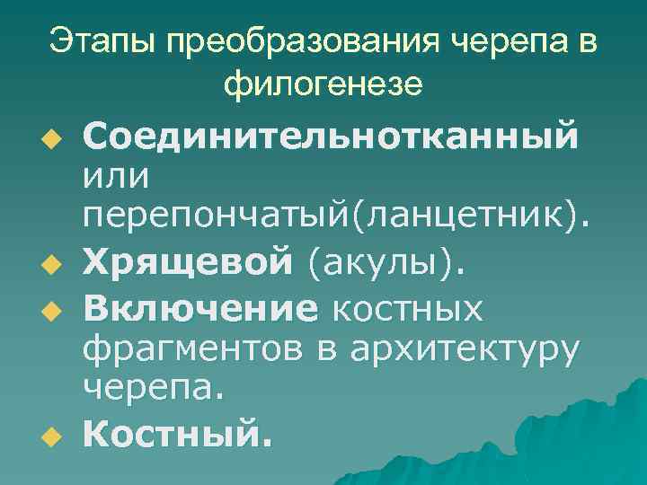 Этапы преобразования черепа в филогенезе u Соединительнотканный или перепончатый(ланцетник). u Хрящевой (акулы). u Включение