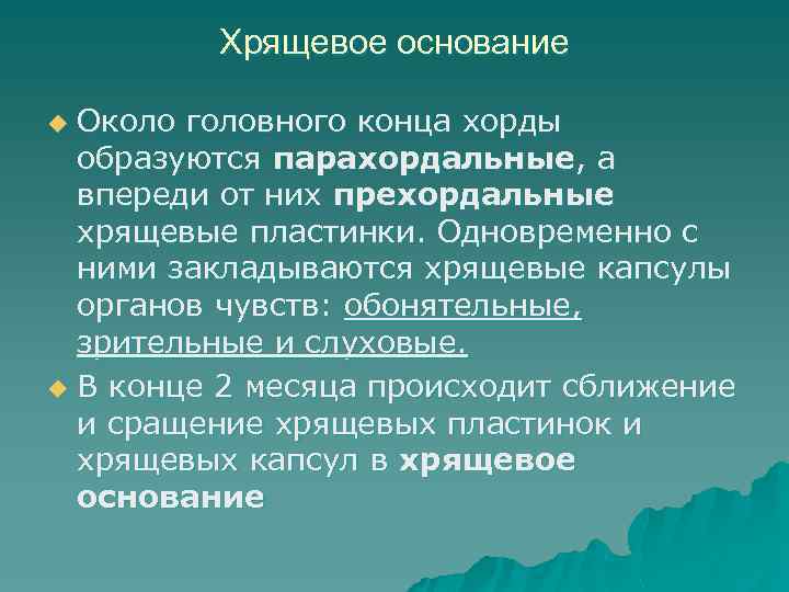 Хрящевое основание Около головного конца хорды образуются парахордальные, а впереди от них прехордальные хрящевые
