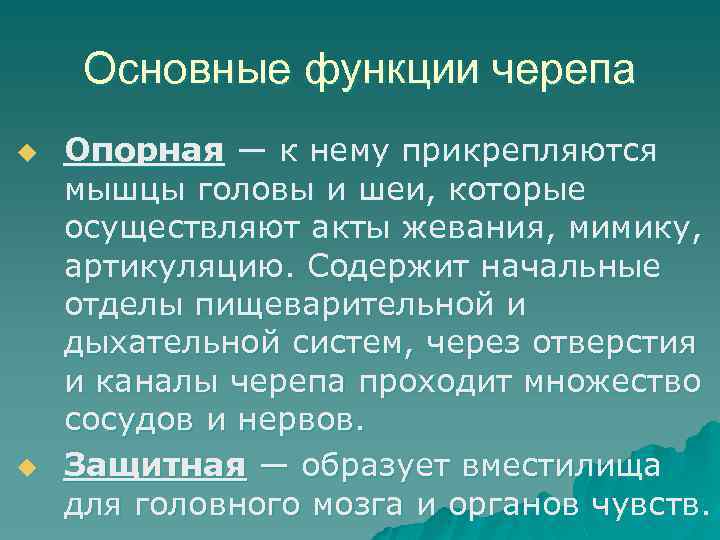 Основные функции черепа u u Опорная ― к нему прикрепляются мышцы головы и шеи,