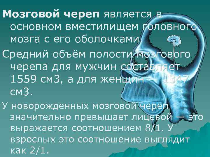 Мозговой череп является в основном вместилищем головного мозга с его оболочками. Средний объём полости