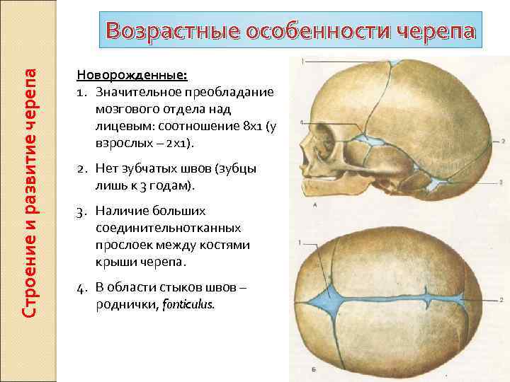 Усилен рисунок пальцевых вдавлений по всему своду черепа у ребенка