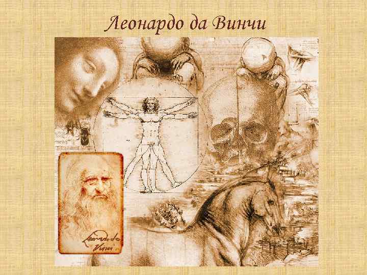 Леонардо да Винчи 