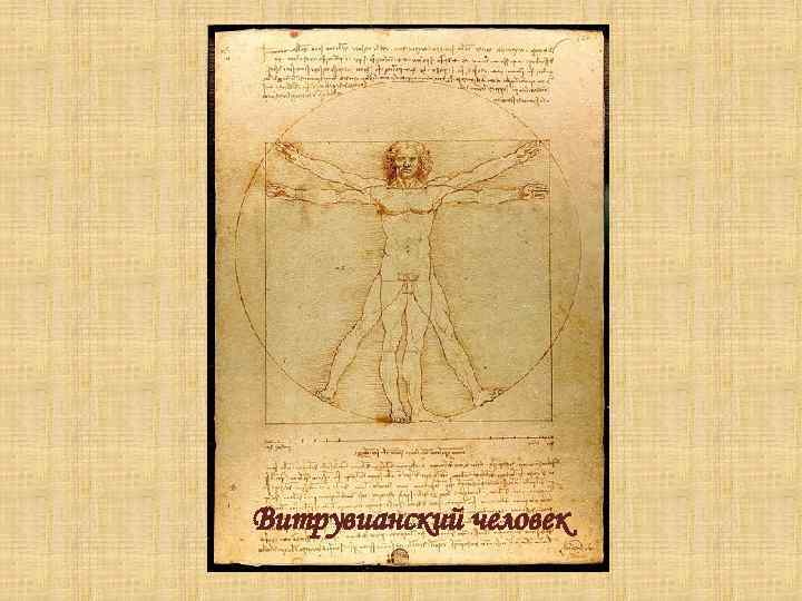 Витрувианский человек 