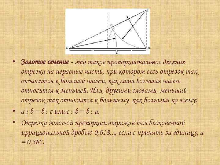  • Золотое сечение - это такое пропорциональное деление отрезка на неравные части, при