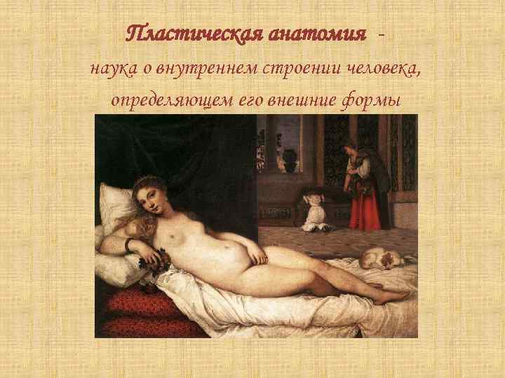 Пластическая анатомия наука о внутреннем строении человека, определяющем его внешние формы 