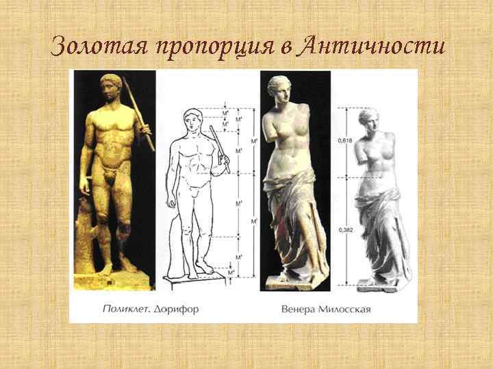 Золотая пропорция в Античности 