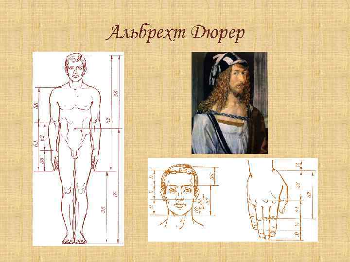 Альбрехт Дюрер 