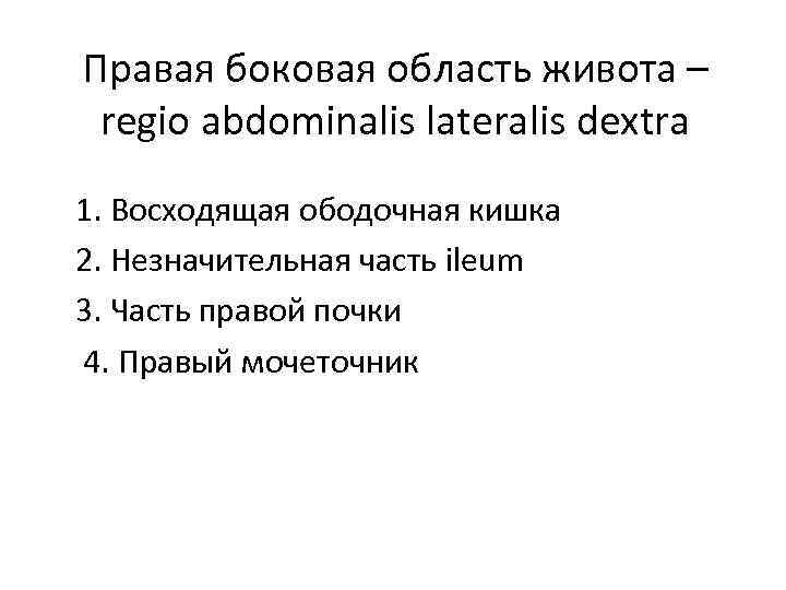 Правая боковая область живота – regio abdominalis lateralis dextra 1. Восходящая ободочная кишка 2.