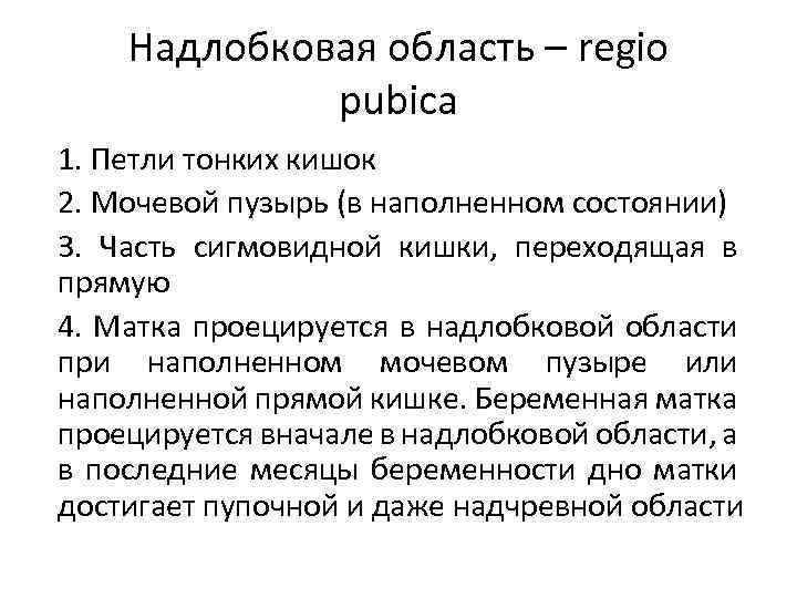 Надлобковая область – regio pubica 1. Петли тонких кишок 2. Мочевой пузырь (в наполненном