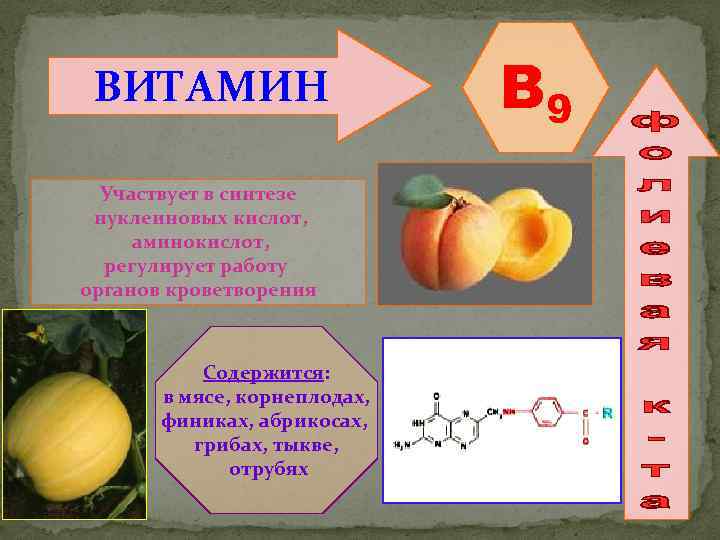 ВИТАМИН Участвует в синтезе нуклеиновых кислот, аминокислот, регулирует работу органов кроветворения Содержится: в мясе,