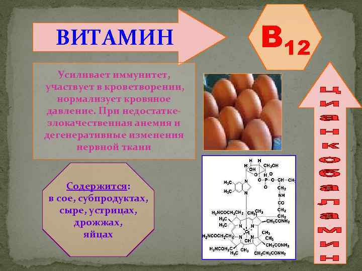 ВИТАМИН Усиливает иммунитет, участвует в кроветворении, нормализует кровяное давление. При недостаткезлокачественная анемия и дегенеративные