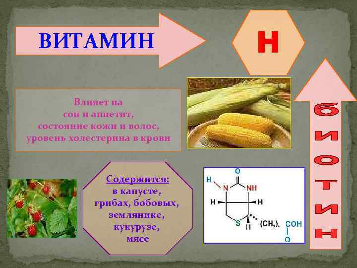 ВИТАМИН Влияет на сон и аппетит, состояние кожи и волос, уровень холестерина в крови