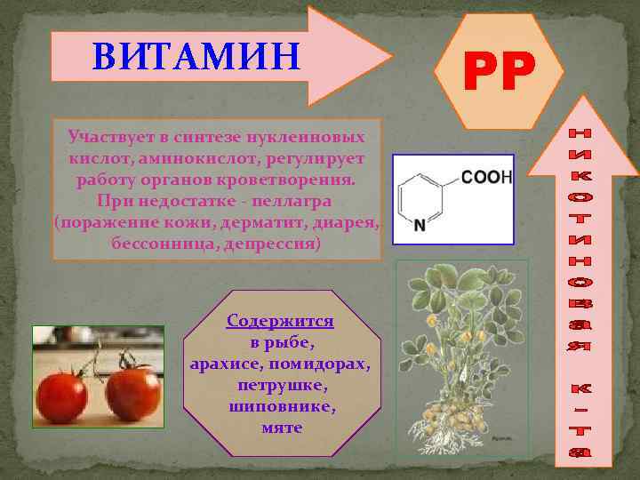 ВИТАМИН Участвует в синтезе нуклеиновых кислот, аминокислот, регулирует работу органов кроветворения. При недостатке -
