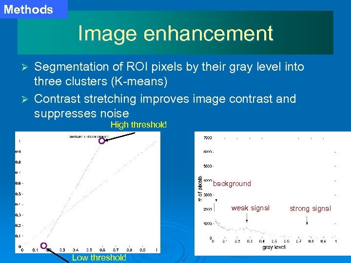 Methods Image enhancement Segmentation of ROI pixels by their gray level into three clusters