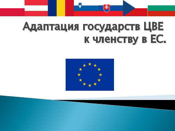 Адаптация государств ЦВЕ к членству в ЕС. 