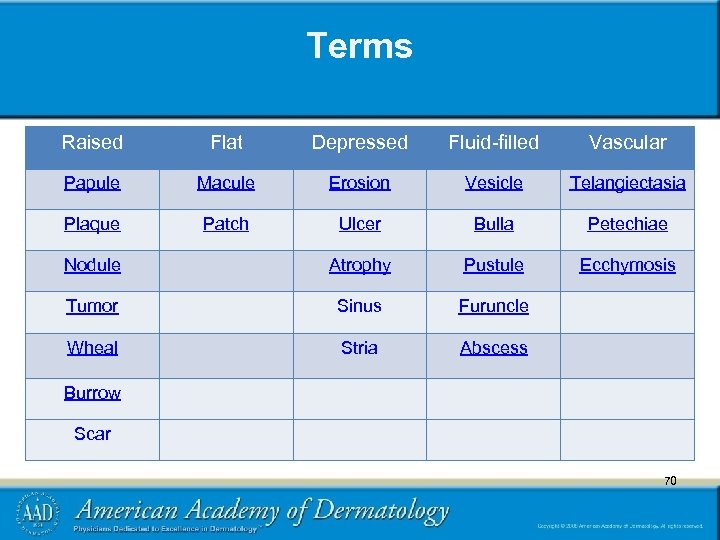 Terms Raised Flat Depressed Fluid-filled Vascular Papule Macule Erosion Vesicle Telangiectasia Plaque Patch Ulcer