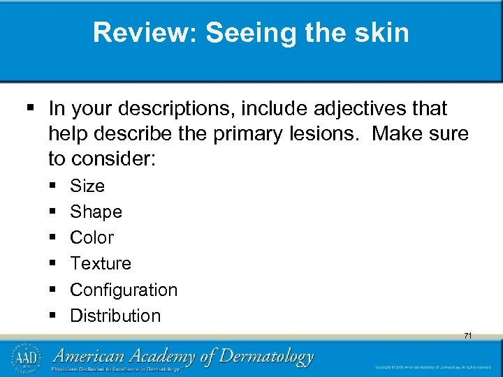 Review: Seeing the skin § In your descriptions, include adjectives that help describe the