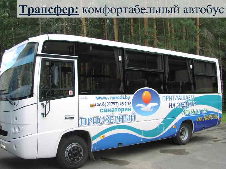 Трансфер: комфортабельный автобус 