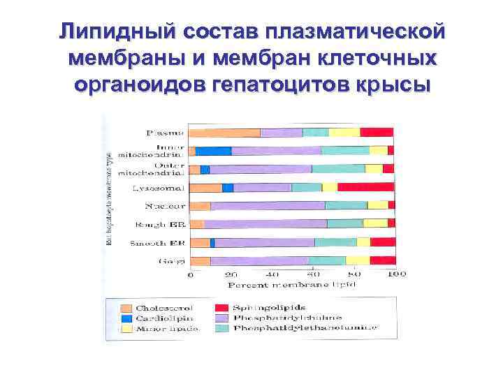 Липидный состав плазматической мембраны и мембран клеточных органоидов гепатоцитов крысы 