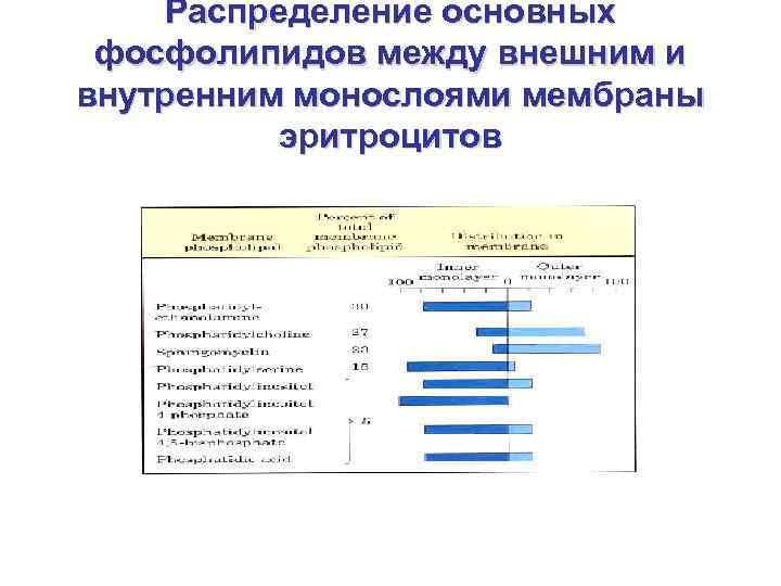 Распределение основных фосфолипидов между внешним и внутренним монослоями мембраны эритроцитов 