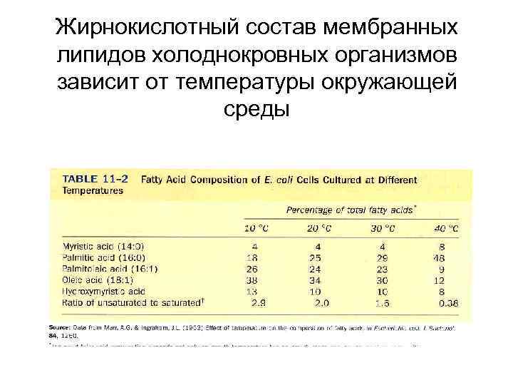 Жирнокислотный состав мембранных липидов холоднокровных организмов зависит от температуры окружающей среды 