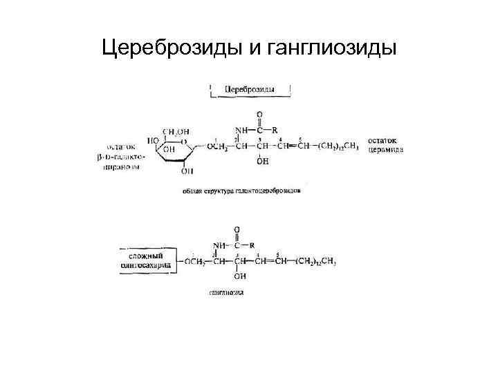 Цереброзиды и ганглиозиды 