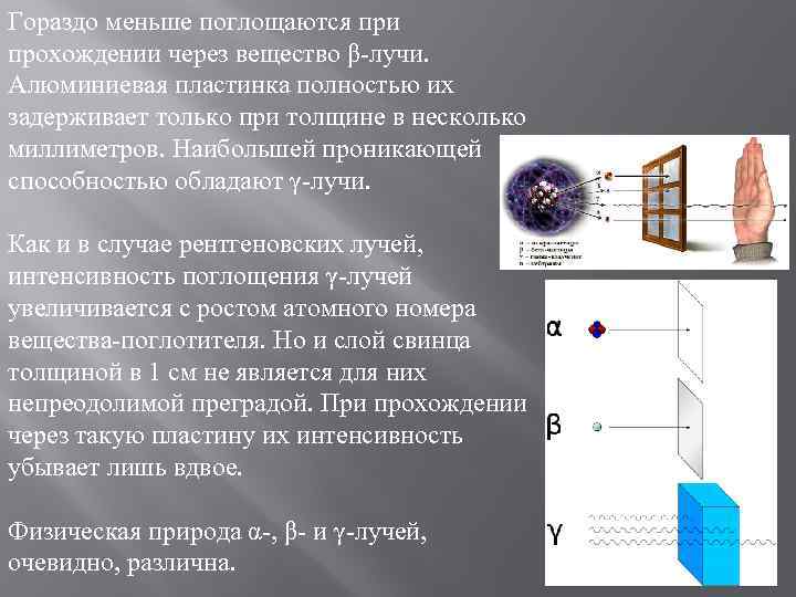 Гораздо меньше поглощаются при прохождении через вещество β-лучи. Алюминиевая пластинка полностью их задерживает только
