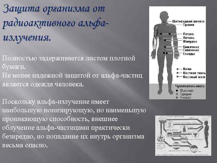 Защита организма от радиоактивного альфаизлучения. Полностью задерживается листом плотной бумаги. Не менее надежной защитой