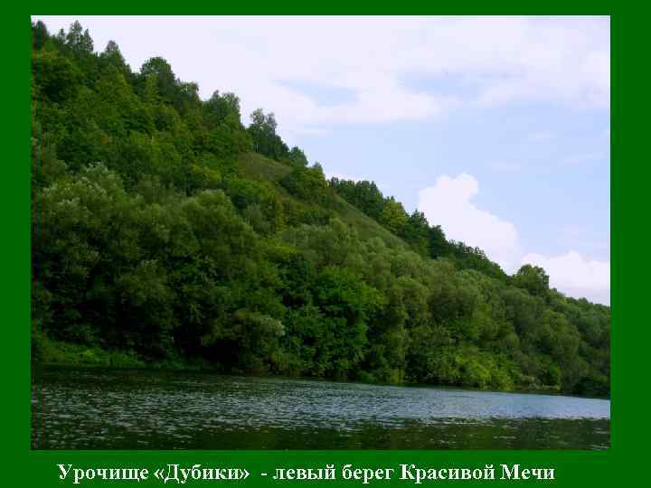 Урочище «Дубики» - левый берег Красивой Мечи 