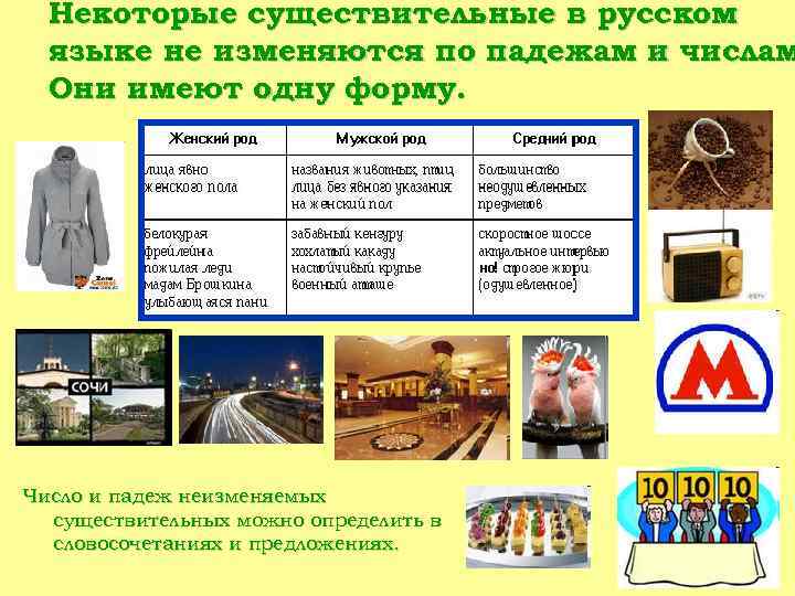 Некоторые существительные в русском языке не изменяются по падежам и числам Они имеют одну