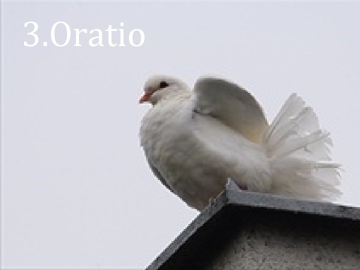 3. Oratio 