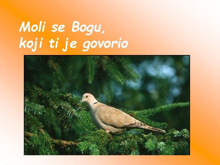 Moli se Bogu, koji ti je govorio 