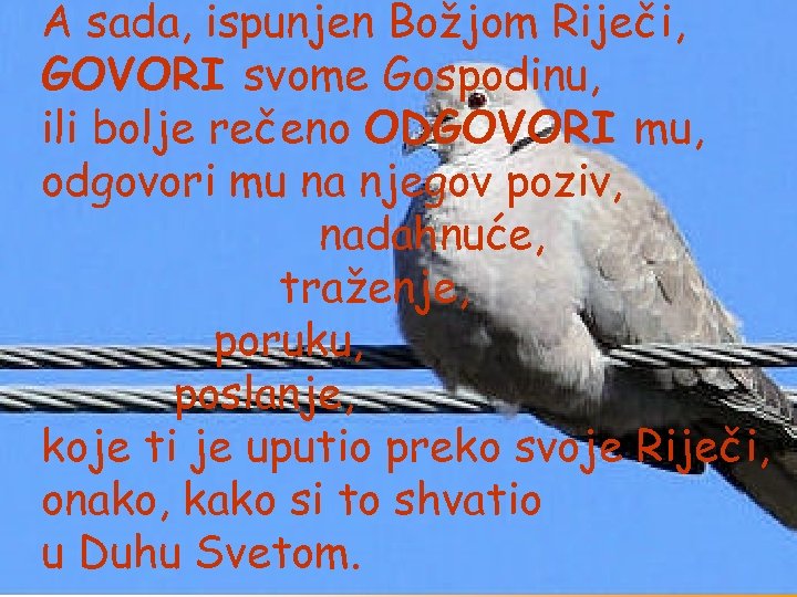 A sada, ispunjen Božjom Riječi, GOVORI svome Gospodinu, ili bolje rečeno ODGOVORI mu, odgovori
