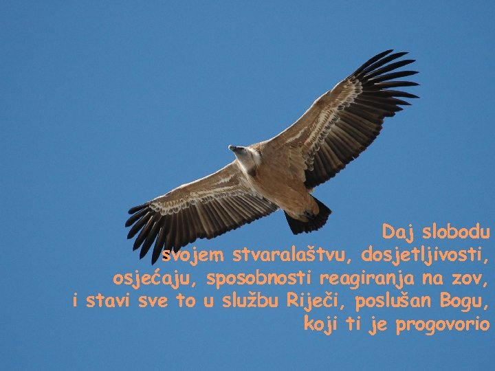 Daj slobodu svojem stvaralaštvu, dosjetljivosti, osjećaju, sposobnosti reagiranja na zov, i stavi sve to