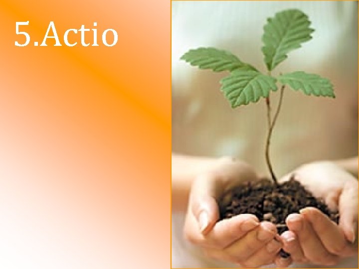 5. Actio 